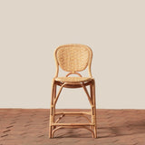 Brac Counter Stool