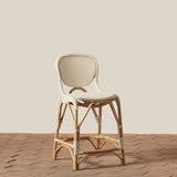 Colette Indoor / Outdoor Counter Stool