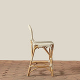 Colette Indoor / Outdoor Counter Stool