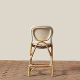 Colette Indoor / Outdoor Counter Stool
