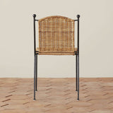 Solene Indoor / Outdoor Dining Chair