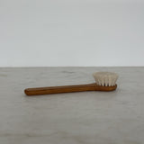 Face Brush